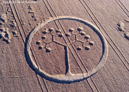 Rrathët në Grurë ose Crop Circle Attachment