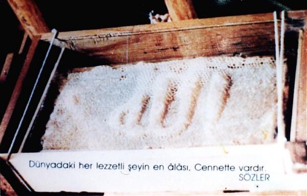 Emri:  Bleta1.jpg

Shikime: 1486

Madhsia:  35.3 KB