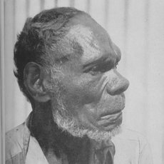 Emri:  race_australoid.jpg

Shikime: 1939

Madhsia:  9.6 KB