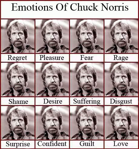 Emri:  Emotions-Of-Chuck-Norris.jpg

Shikime: 1527

Madhsia:  63.5 KB