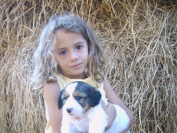 Emri:  IMG00294.jpg

Shikime: 1205

Madhsia:  82.3 KB