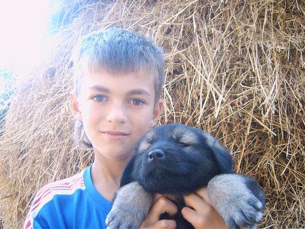 Emri:  IMG00290.jpg

Shikime: 882

Madhsia:  72.1 KB