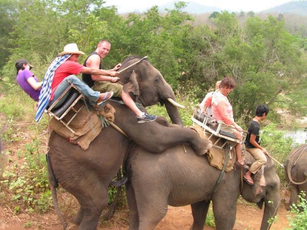 Emri:  elefant.jpg

Shikime: 861

Madhsia:  60.2 KB