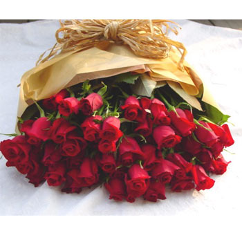 Emri:  flower_06.jpg

Shikime: 456

Madhsia:  27.8 KB