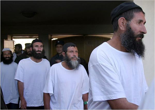 Emri:  07bagram.650.jpg

Shikime: 276

Madhsia:  31.3 KB
