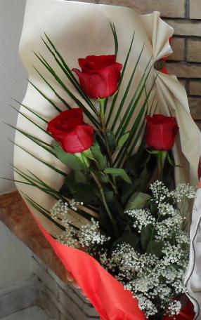 Emri:  fiori.JPG

Shikime: 7571

Madhsia:  26.9 KB
