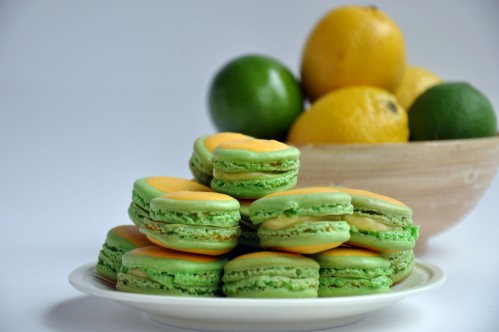 Emri:  lime macaroons.jpg

Shikime: 498

Madhsia:  30.3 KB
