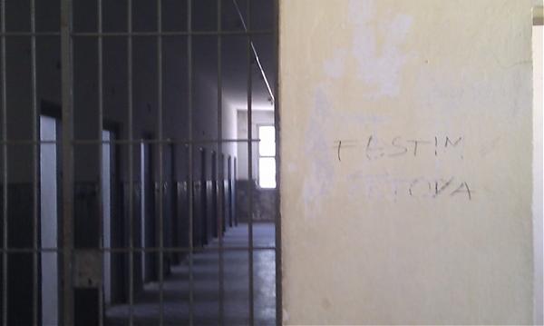 Emri:  festim tetova.jpg

Shikime: 371

Madhsia:  17.3 KB