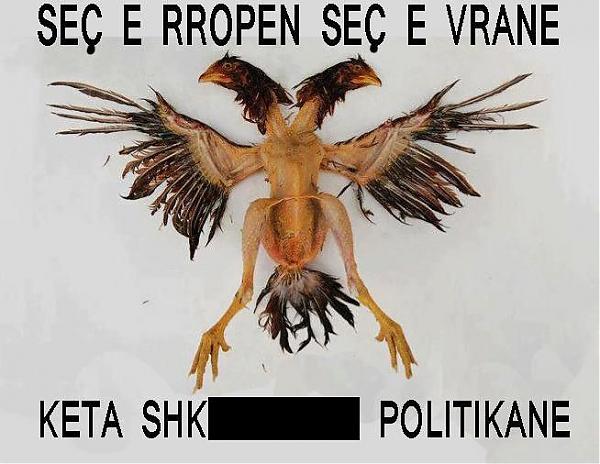 Emri:  shqiponja.jpg

Shikime: 235

Madhsia:  48.3 KB