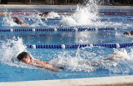 Emri:  olympic-sized-childrens-swimming-pool-gaza.jpg

Shikime: 123

Madhsia:  61.0 KB
