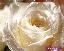 Emri:  white_rose.gif

Shikime: 526

Madhsia:  82.1 KB