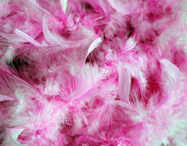 Emri:  pink-feathers-background-20851283962497d0cp.jpg

Shikime: 188

Madhsia:  50.3 KB