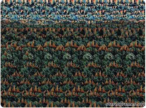 Emri:  stereogram_big.jpg

Shikime: 379

Madhsia:  72.9 KB