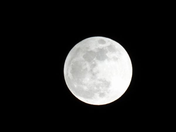 Emri:  luna (800x600).jpg

Shikime: 103

Madhsia:  9.9 KB
