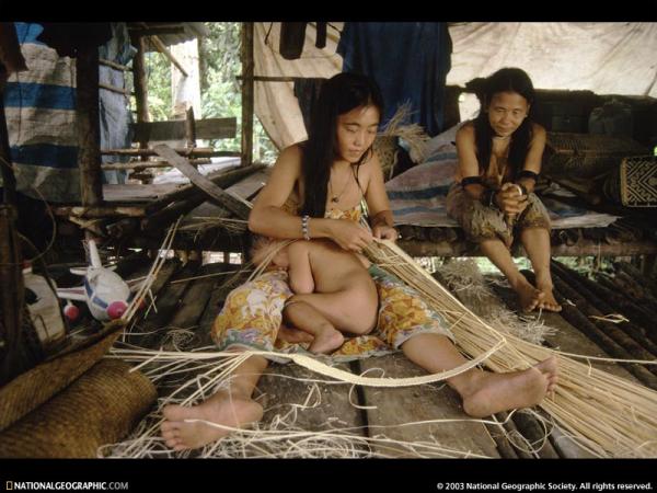 Emri:  penan-weaver-656521-sw.jpg

Shikime: 1984

Madhsia:  51.8 KB