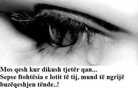 Emri:  foto (2).jpg

Shikime: 8944

Madhsia:  22.2 KB