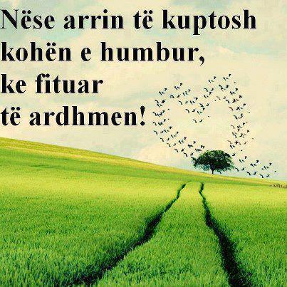 Emri:  217832_394769593948838_1395373975_n.jpg

Shikime: 133

Madhsia:  43.5 KB
