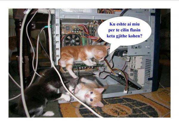 Emri:  22028_496582007052163_803847747_n.jpg

Shikime: 1317

Madhsia:  44.7 KB