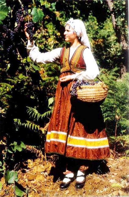 Emri:  veshje grua cepan Skrapar.jpg

Shikime: 2381

Madhsia:  72.7 KB