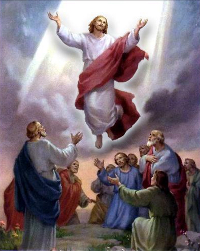 Emri:  347401ascensionJsus.jpg

Shikime: 589

Madhsia:  134.6 KB