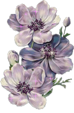 Emri:  blomst002.gif

Shikime: 174

Madhsia:  36.4 KB