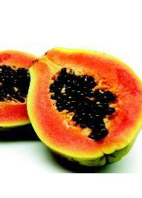 Emri:  pith.jpg

Shikime: 103

Madhsia:  58.2 KB