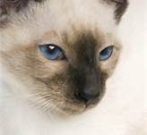 Emri:  chat.jpg

Shikime: 835

Madhsia:  3.6 KB