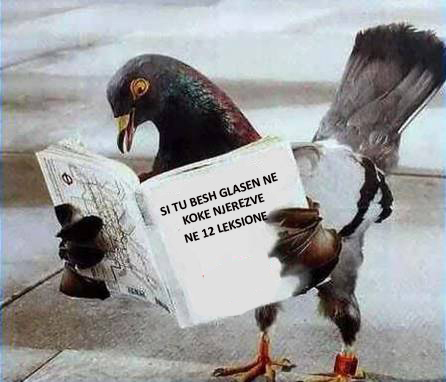 Emri:  piccione furbo shqip.jpg

Shikime: 3356

Madhsia:  111.2 KB