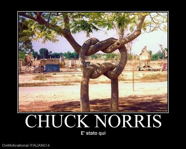 Emri:  chuck qui.jpg

Shikime: 1889

Madhsia:  73.5 KB