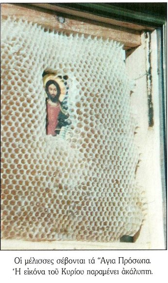 Emri:  bees christ.jpg

Shikime: 634

Madhsia:  70.1 KB