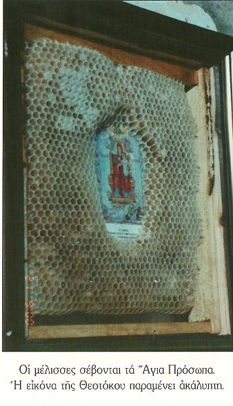 Emri:  bees panagia.jpg

Shikime: 503

Madhsia:  72.5 KB