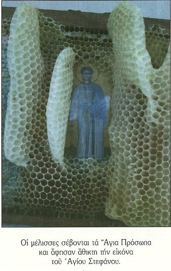 Emri:  bees stephen.jpg

Shikime: 519

Madhsia:  73.5 KB