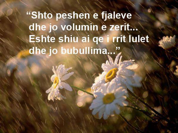 Emri:  1236611_505637069523372_2024148525_n.jpg

Shikime: 224

Madhsia:  46.3 KB