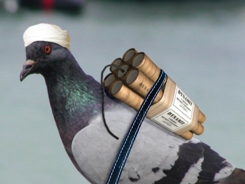 Emri:  suicide-bomber-15424.jpg

Shikime: 2173

Madhsia:  32.5 KB