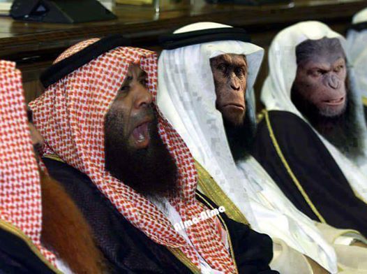 Emri:  Majmunet arab.jpg

Shikime: 2175

Madhsia:  44.5 KB