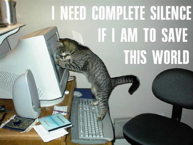 Emri:  funny_cat_pictures_pc_3.jpg

Shikime: 761

Madhsia:  51.4 KB