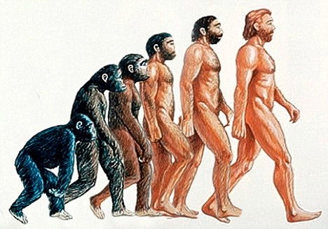 Emri:  Human-Evolution.jpg

Shikime: 160

Madhsia:  56.0 KB