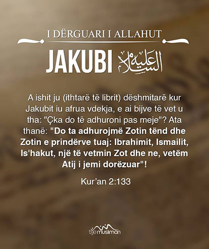 Emri:  8.jpg

Shikime: 956

Madhsia:  46.6 KB