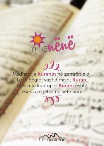 Emri:  2.jpg

Shikime: 1318

Madhsia:  22.5 KB