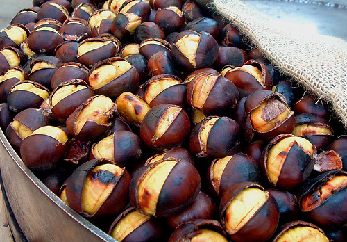 Emri:  castagne-arrostite.jpg

Shikime: 121

Madhsia:  180.6 KB