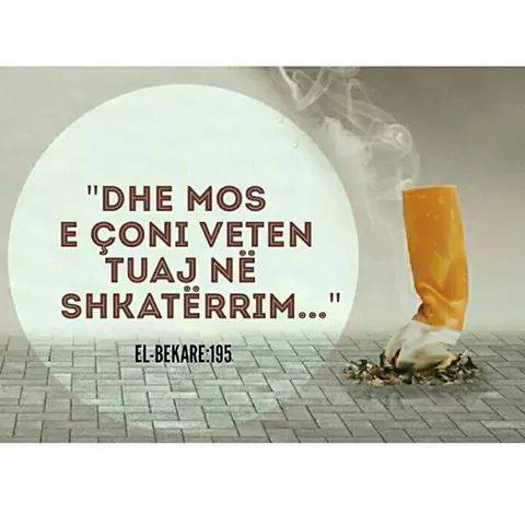 Emri:  mos e coni veten ne shkaterrim.jpg

Shikime: 2606

Madhsia:  26.2 KB