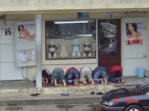 Emri:  Namaz haram.jpg

Shikime: 887

Madhsia:  37.1 KB