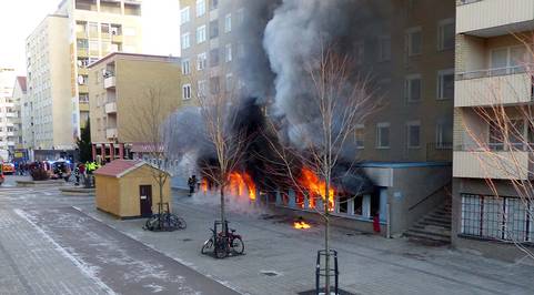 Emri:  moskebrand.jpg

Shikime: 169

Madhsia:  23.3 KB