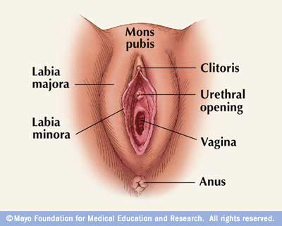 Emri:  Labiaplasty-Diagram.jpg

Shikime: 29408

Madhsia:  13.6 KB
