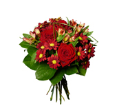 Emri:  1201053_mellan.jpg

Shikime: 208

Madhsia:  19.9 KB