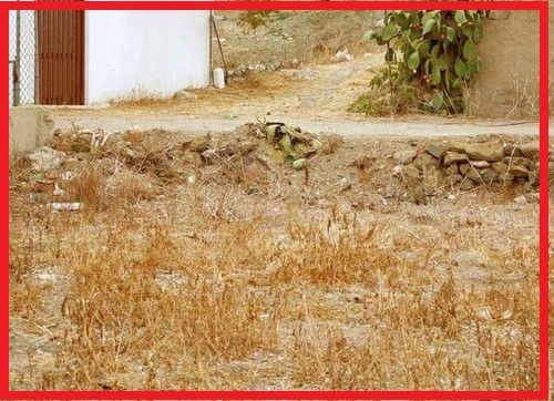Emri:  find_the_cat_in_the_grass (1).jpg

Shikime: 172

Madhsia:  78.4 KB