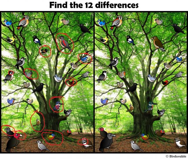 Emri:  find_differences_1.jpg

Shikime: 205

Madhsia:  113.9 KB