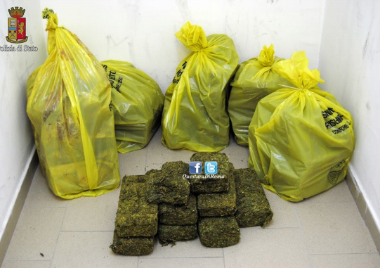Emri:  droga1.jpg

Shikime: 279

Madhsia:  79.9 KB