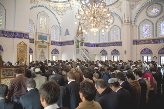 Emri:  nn20101114f1a.jpg

Shikime: 304

Madhsia:  67.8 KB