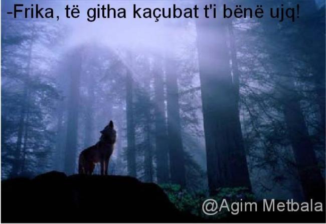 Emri:  12358085_992039577501542_1845525578_n.jpg

Shikime: 432

Madhsia:  34.5 KB